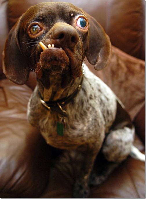 ugstor_1353484w ugstor_1353484w