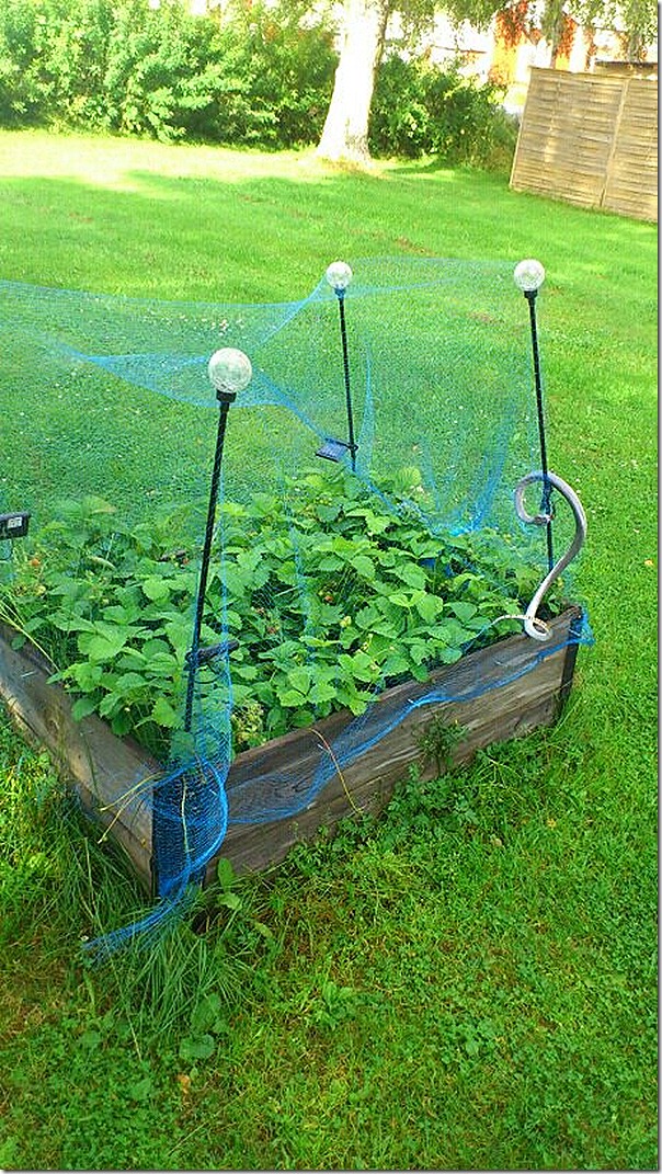 mms_img-451530393[1]