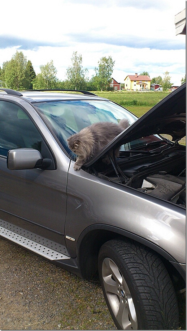 mms_img1273681948[1]