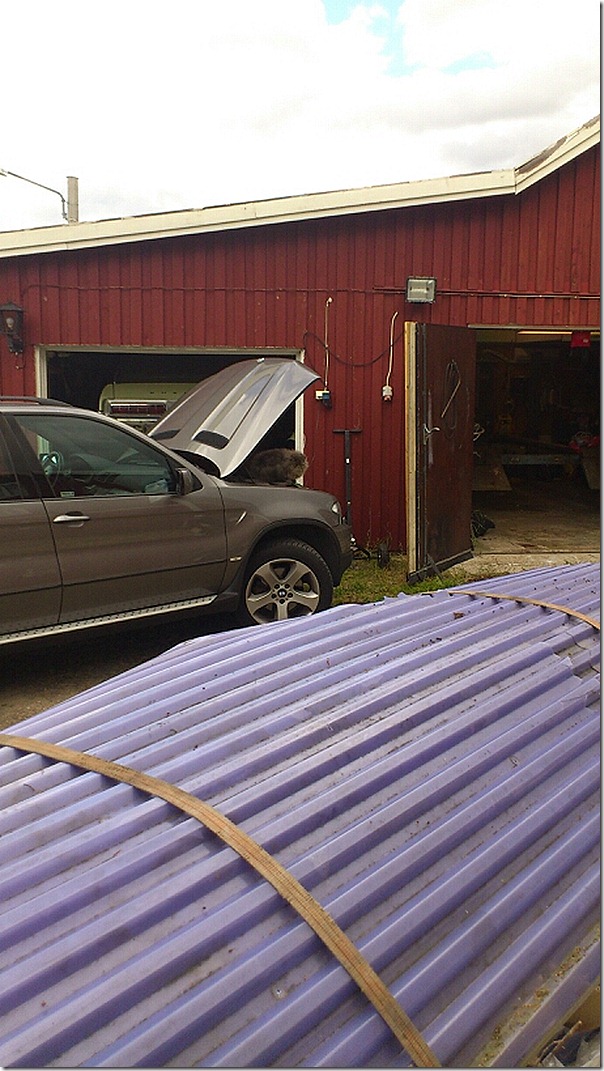 mms_img1288392772_2[1]