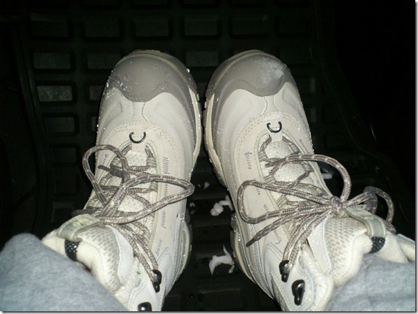 201810_147661178715687_916313945_o