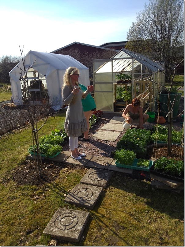 P_20130518_153927[1]