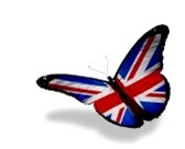 13794748-english-flag-butterfly-flying-isolated-on-white-background