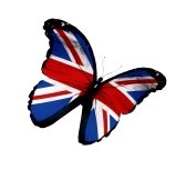 14491017-english-flag-butterfly-flying-isolated-on-white-background