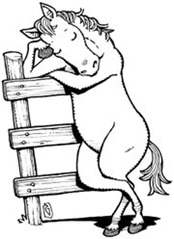 matthewalice_lead_t180