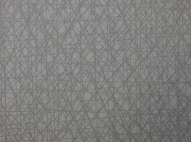 1234405_561979470542867_1096186659_n