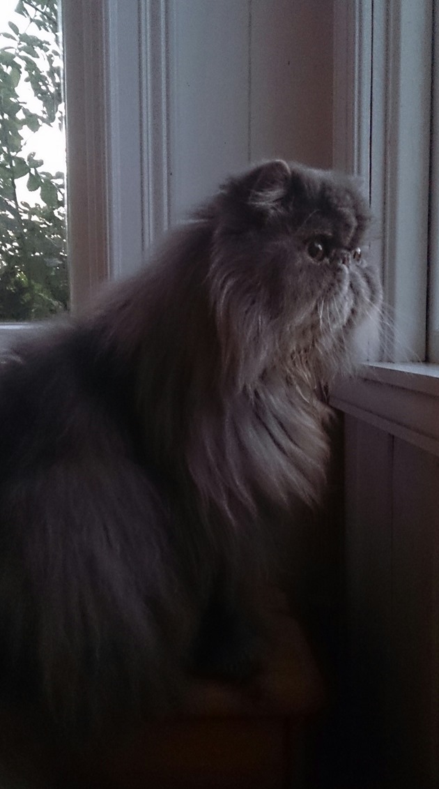 IMG_20130810_201404[1]