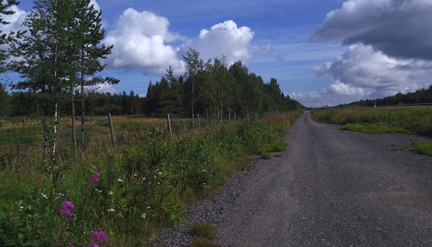 P_20130803_110425[1]