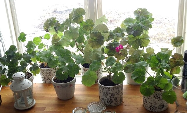 PART_1395574749621[1]