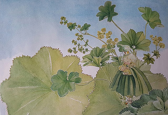 20150601_071914-1[1]