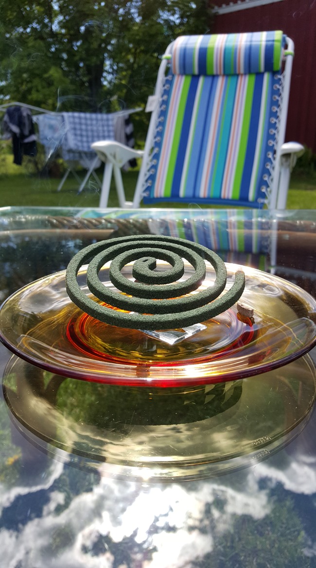 20150619_122613_001[1]