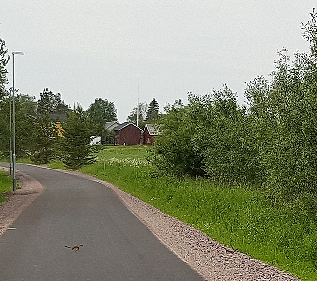 20150703_102845(0)[1]