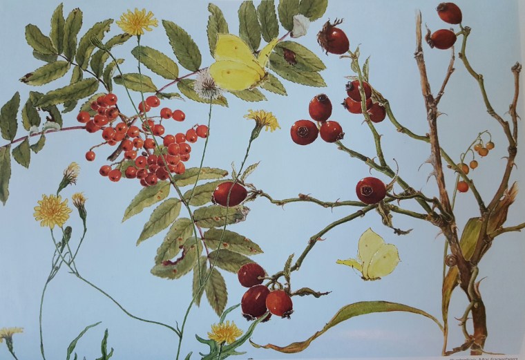 20150901_164752-1[1]