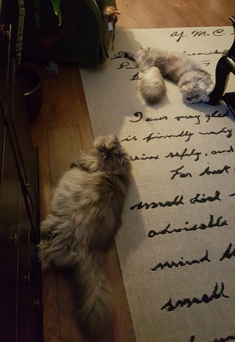 20160219_202622-1[1]