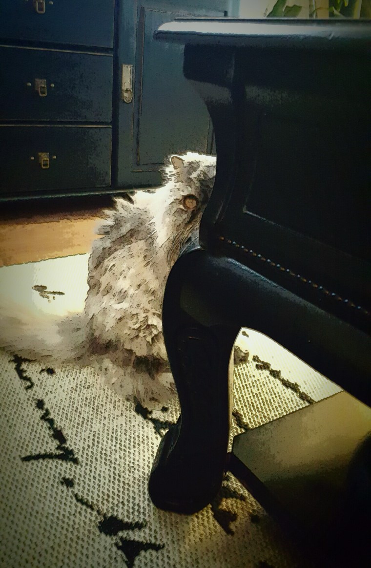 2016-04-12 17.29.25[1]