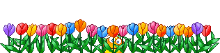 tulips_3_text