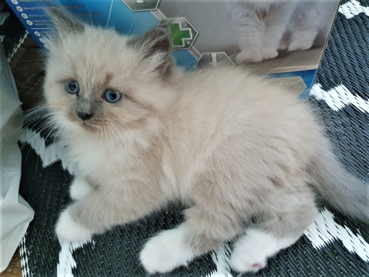 Resized_20190827_200632 (2)