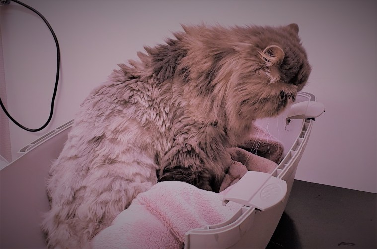 20191222_052321 (2).jpg