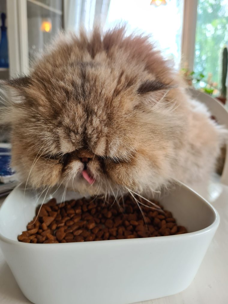 20200708_190709(0)[1]